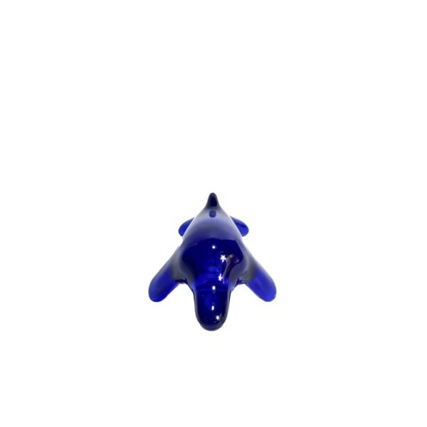 Happy dolphin - 画像 (4)