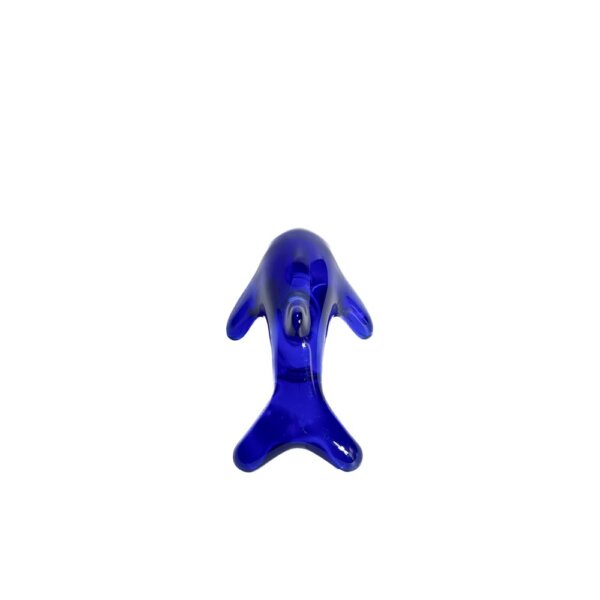 Happy dolphin - 画像 (2)