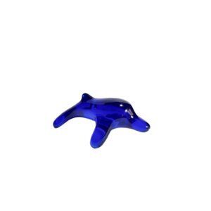 Happy dolphin