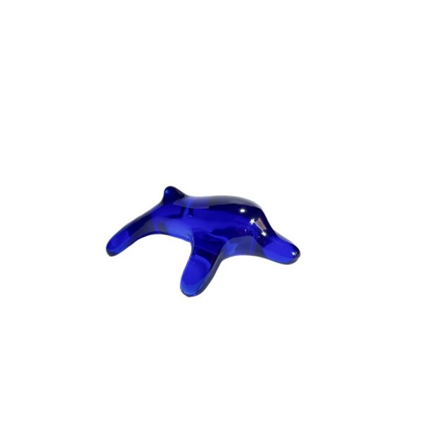 Happy dolphin