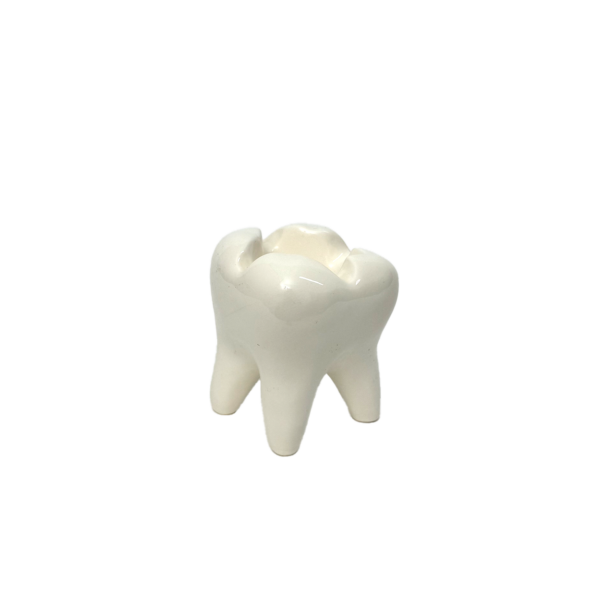 Tooth tray