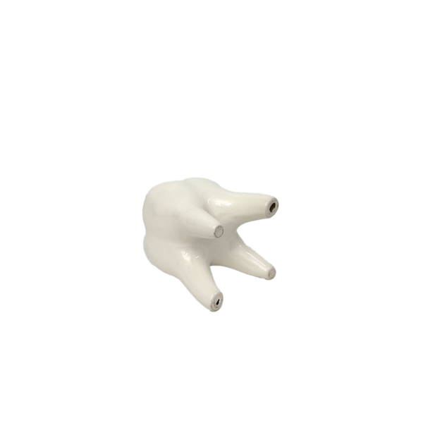 Tooth tray - 画像 (2)