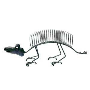 Dinosaur wire rack